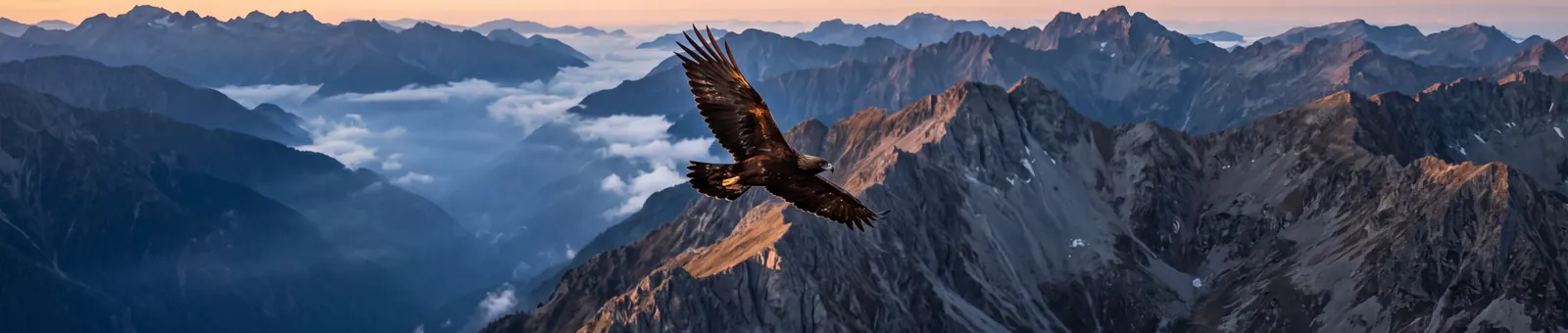 A golden eagle soaring with wings fully outstretched above a mist-filled alpine valley at golden hour